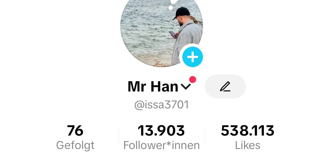 Archivierter Screenshot des TikTok-Profils Mr Han mit dem Benutzernamen @issa3701.